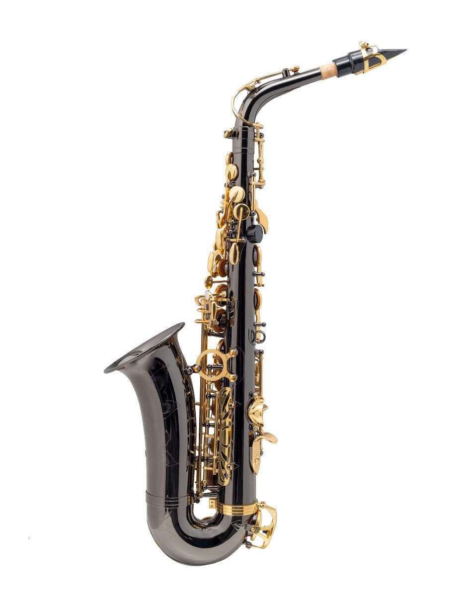 Saxofón Alto 3