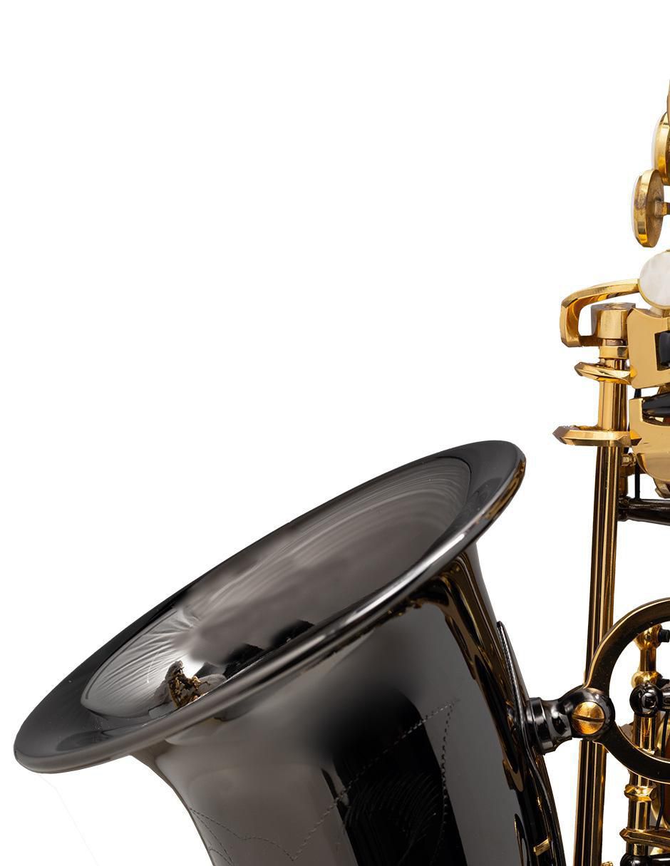 Saxofón Alto 5