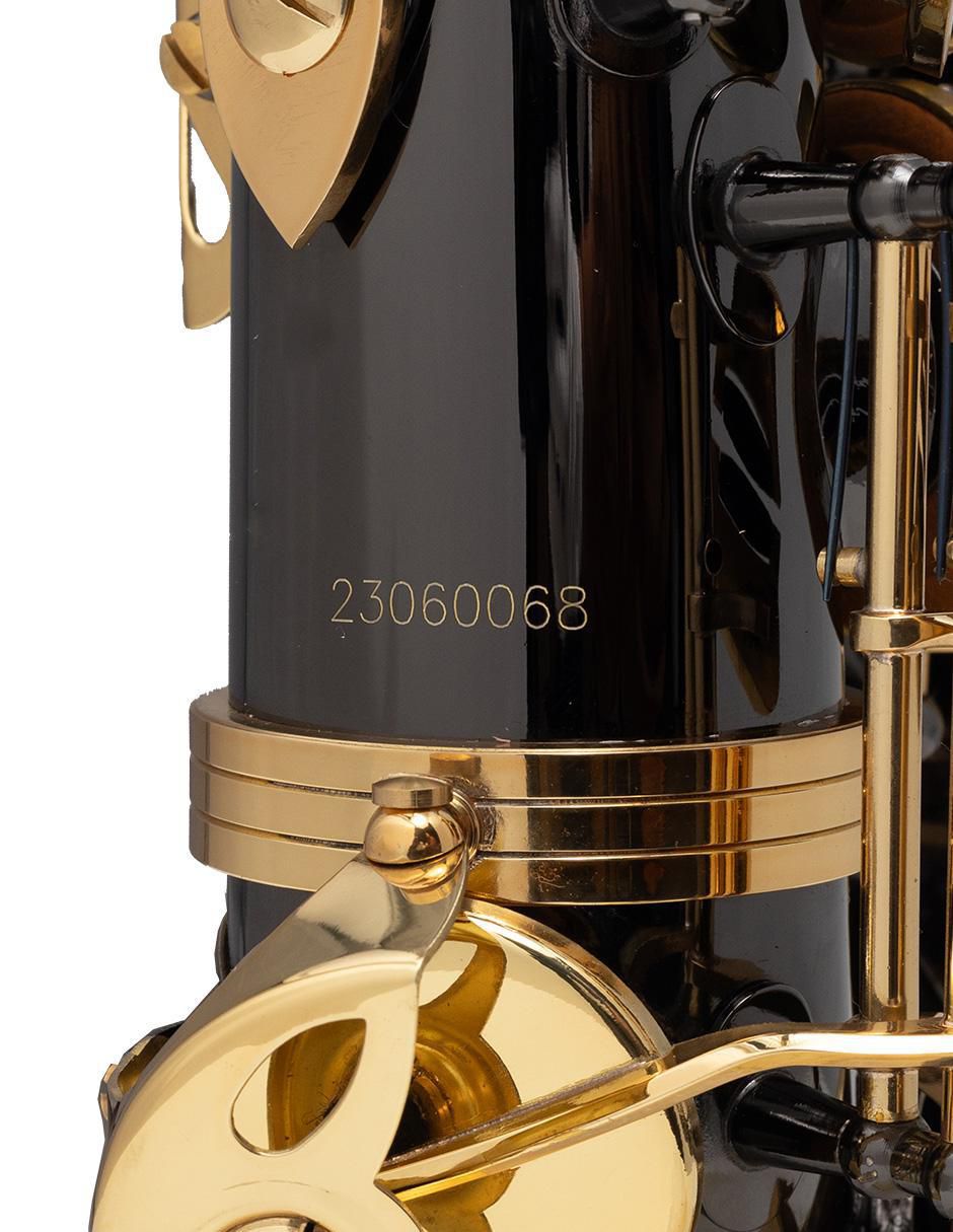 Saxofón Alto 6