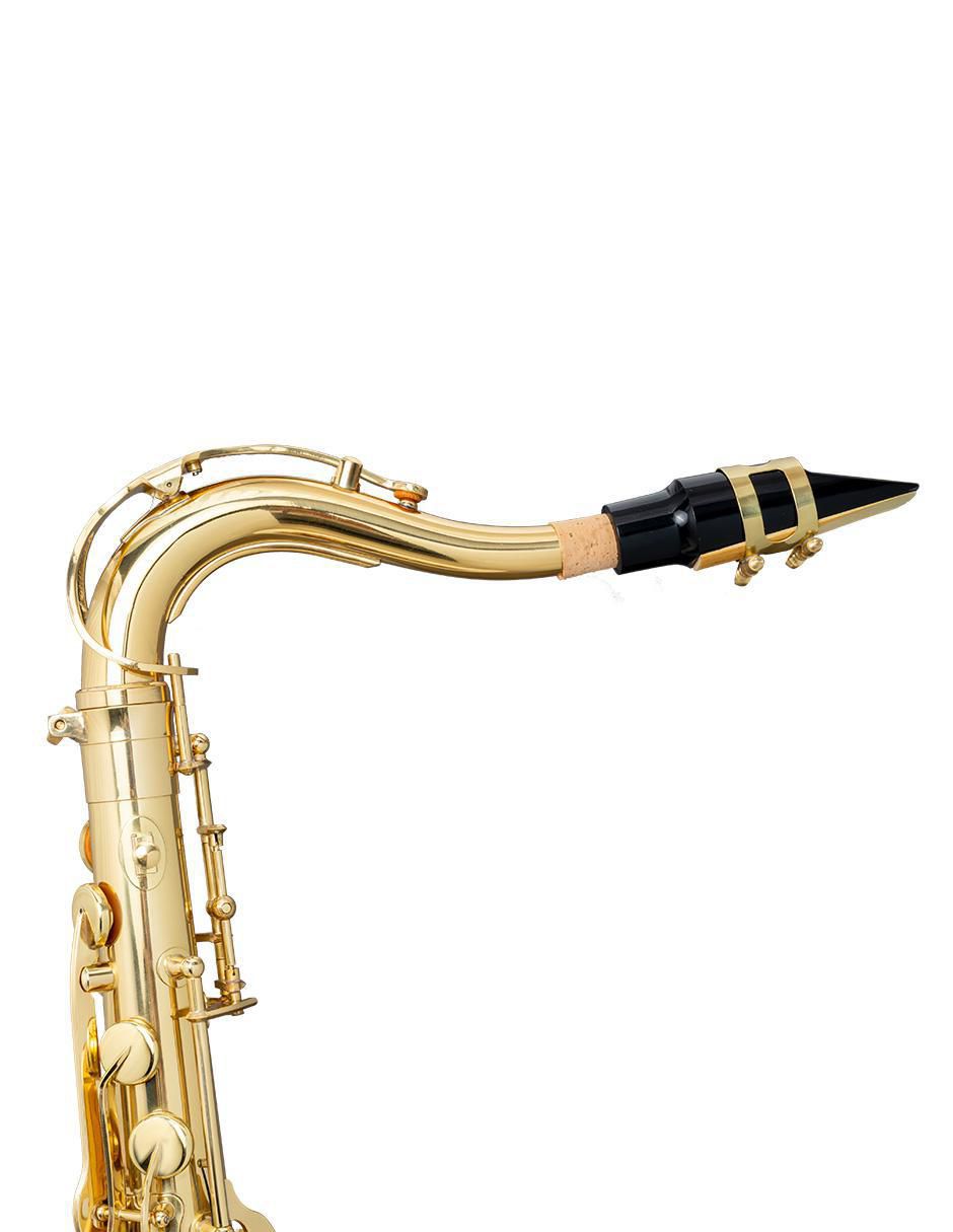 Saxofón Tenor 2