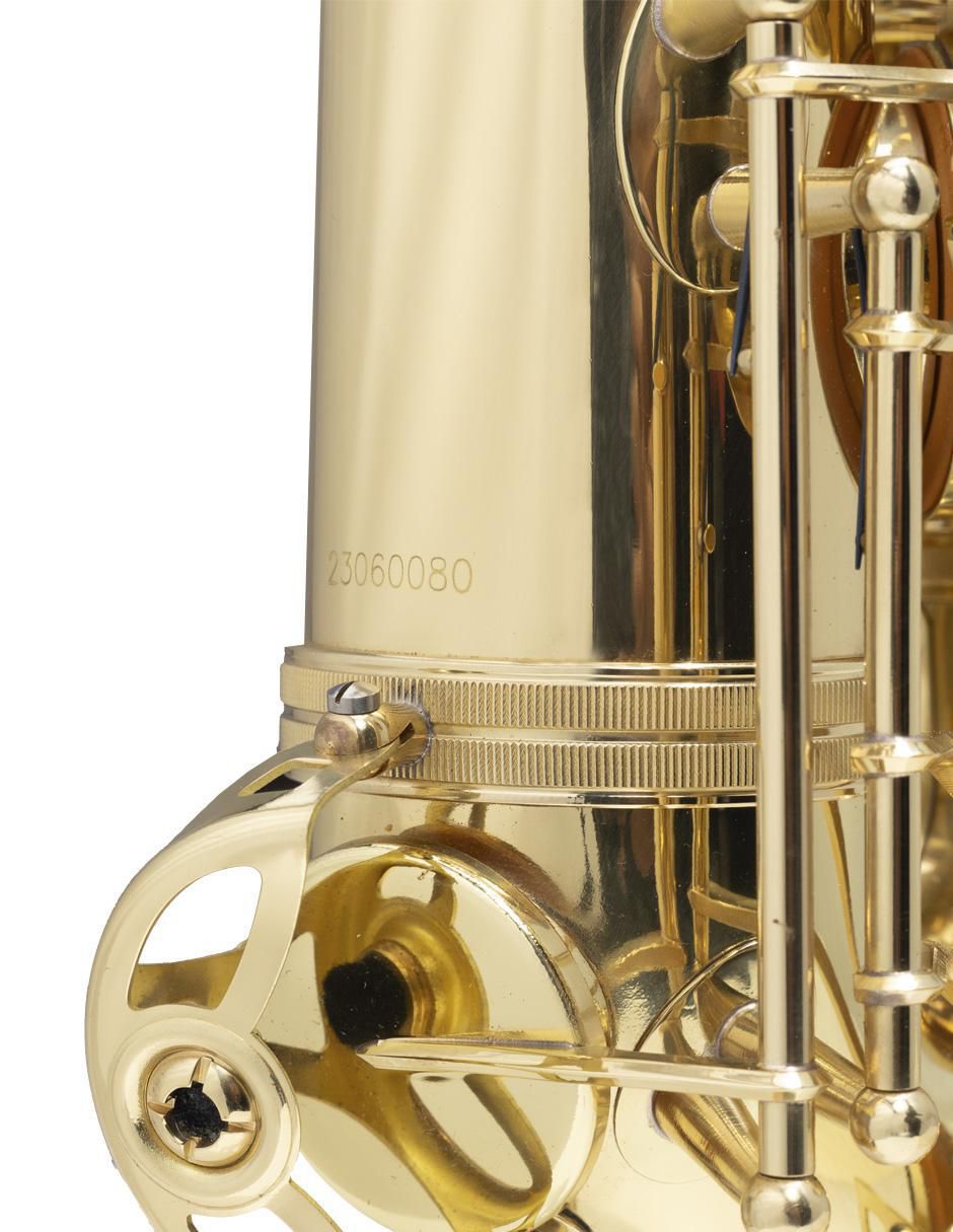 Saxofón Tenor 3
