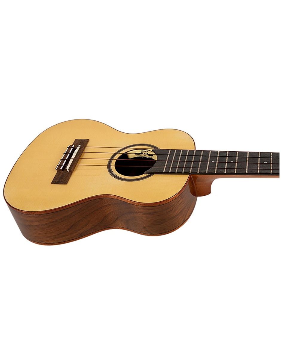 Ukulele 5