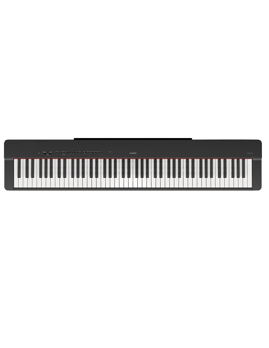 Piano P225BSET 88 teclas 1
