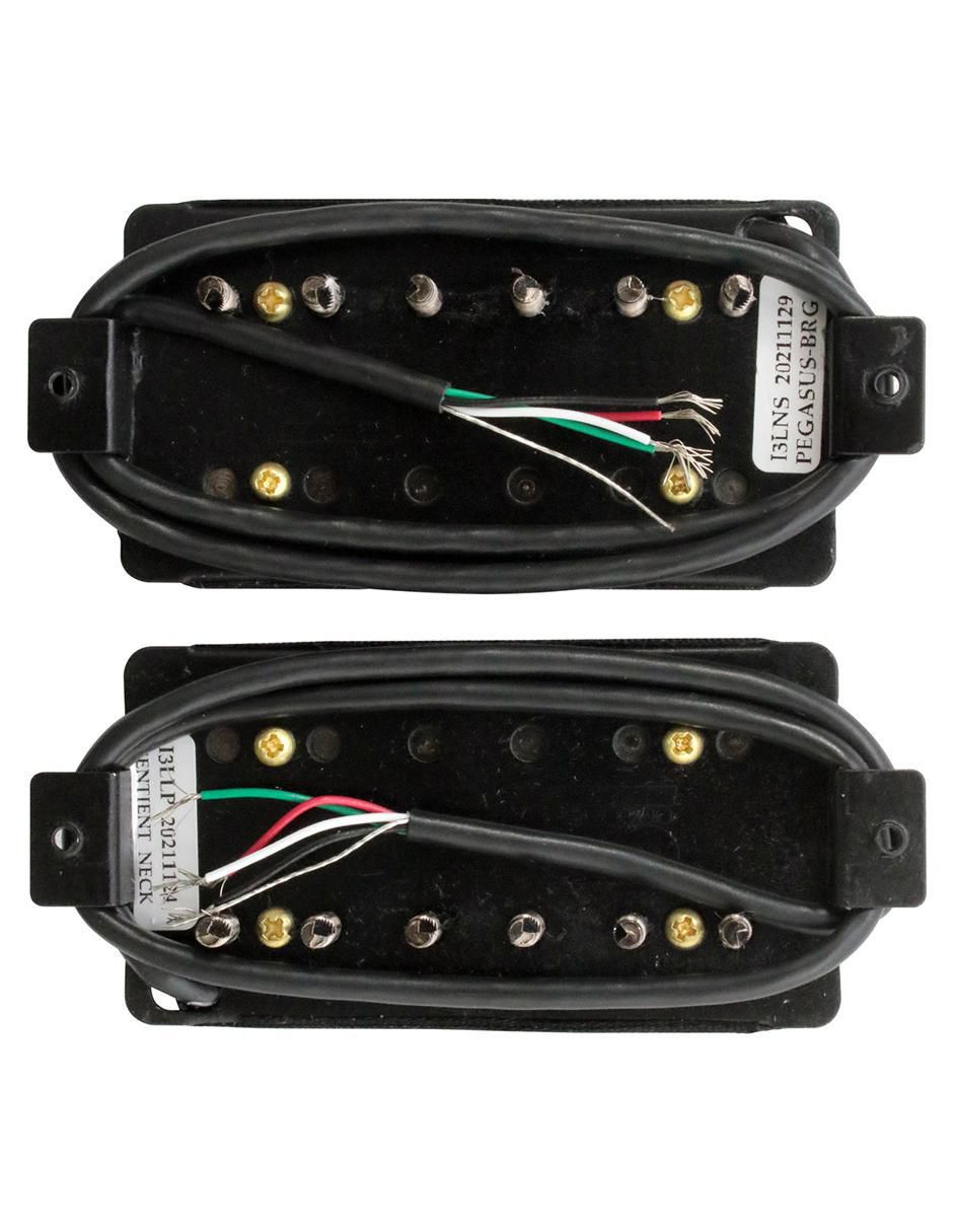 Pastilla para Guitarra Eléctrica Pegasus/Sentient Set 5