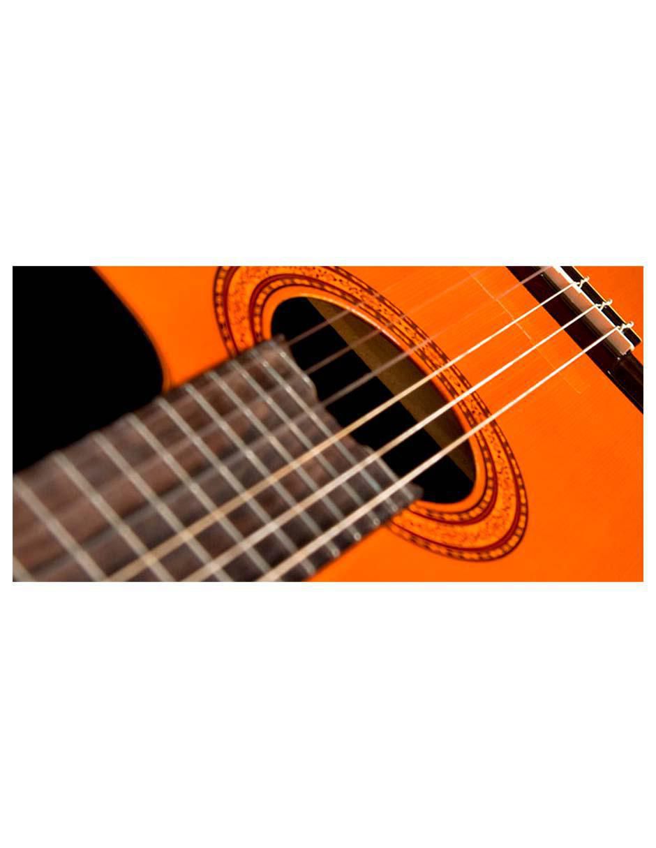Guitarra clásica C5CE 2