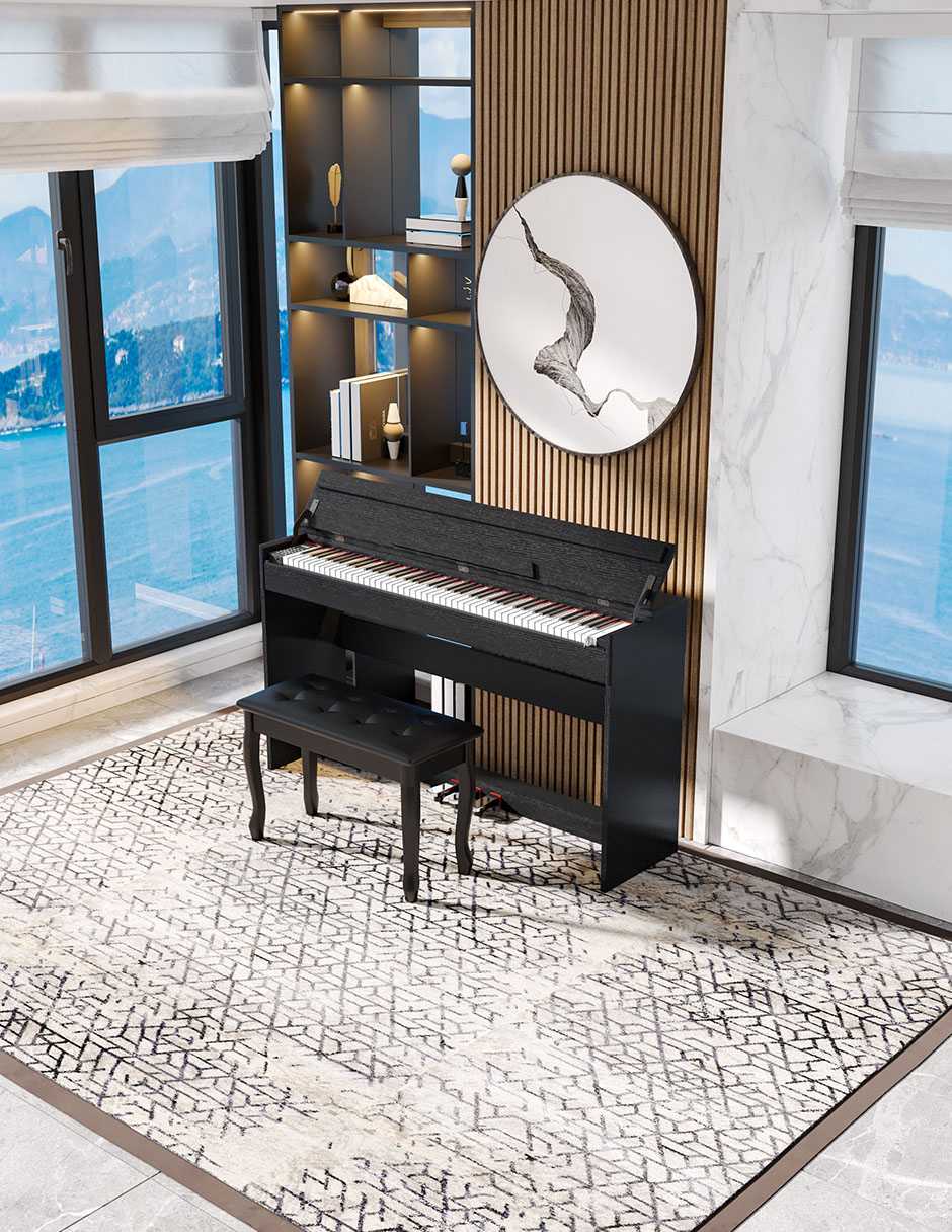 Piano BL-8818-C 88 teclas 2