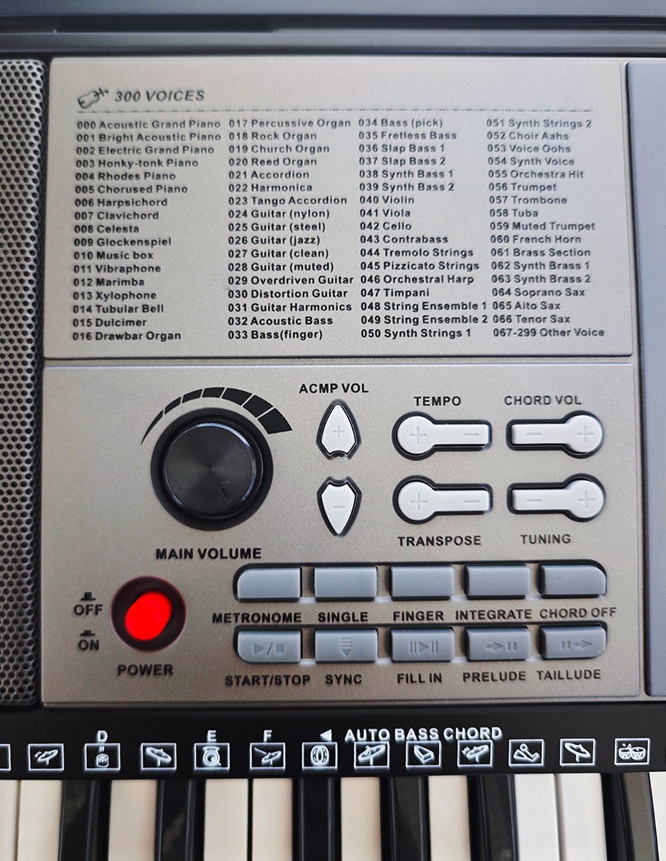 Teclado de 61 teclas MLS-100 11