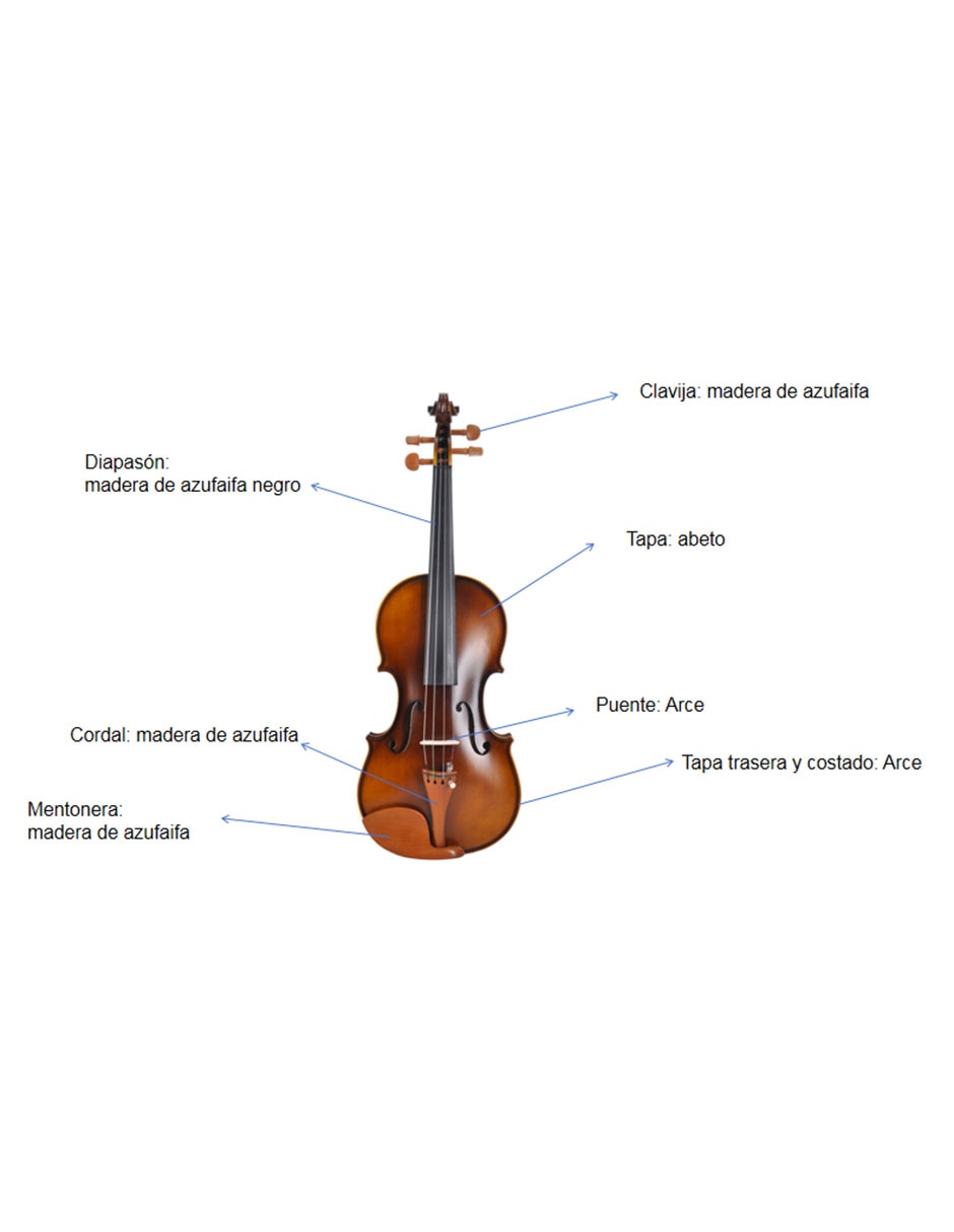 Violin 4/4 6