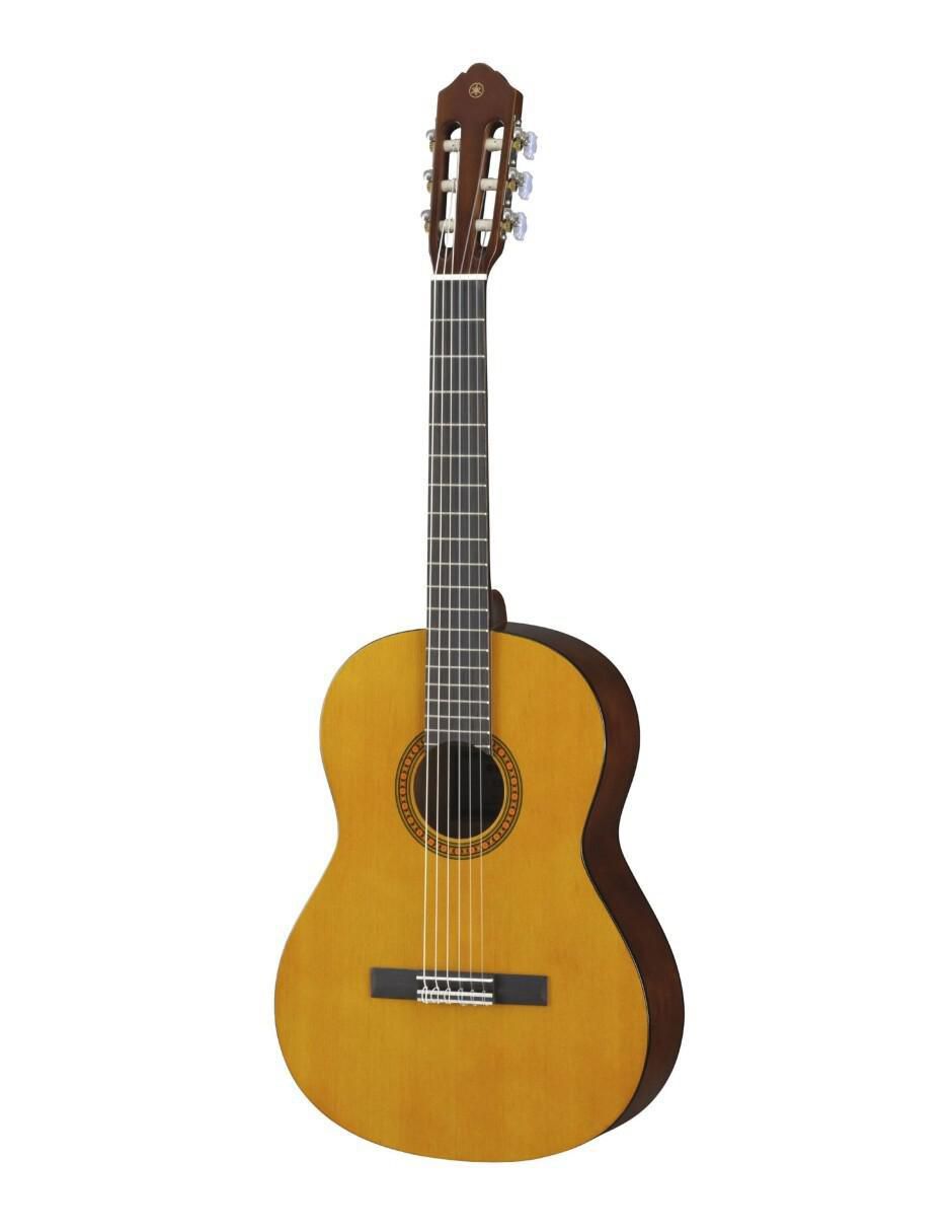 Guitarra CS40