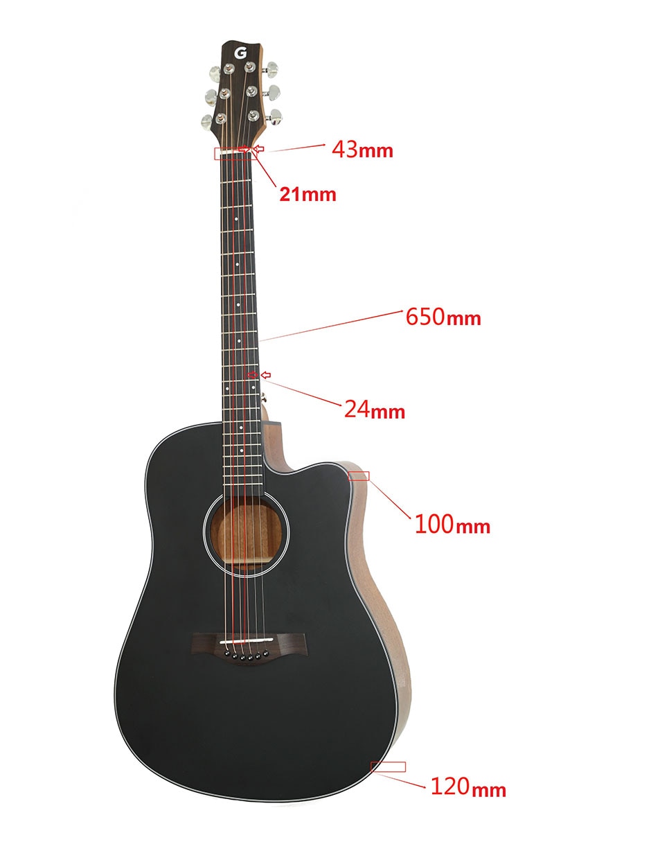Guitarra acústica dreadnought cdg-20 op 10