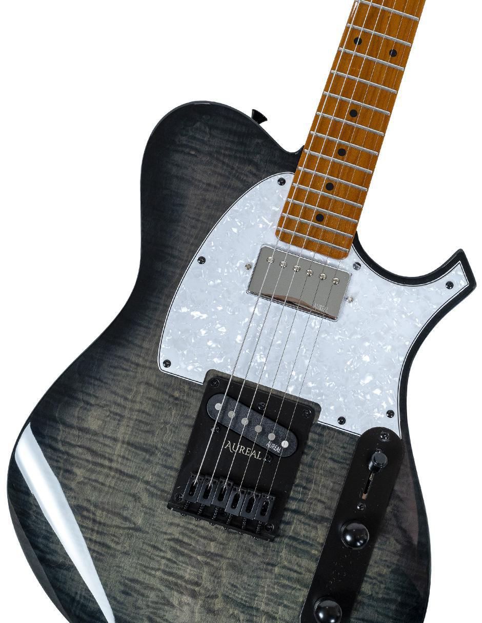 Guitarra eléctrica JOM-TE TS GR 6