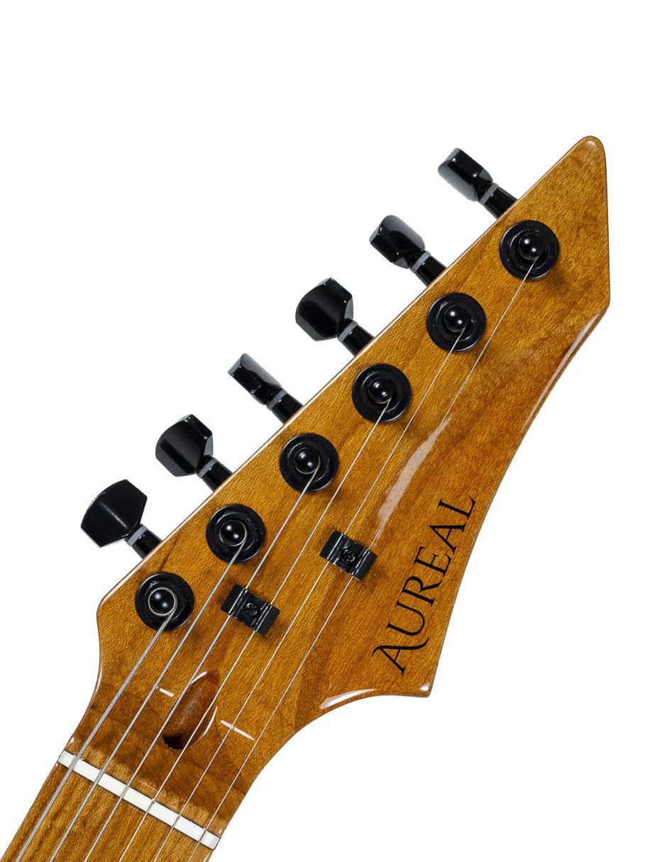 Guitarra eléctrica JOM-TE TS GR 9