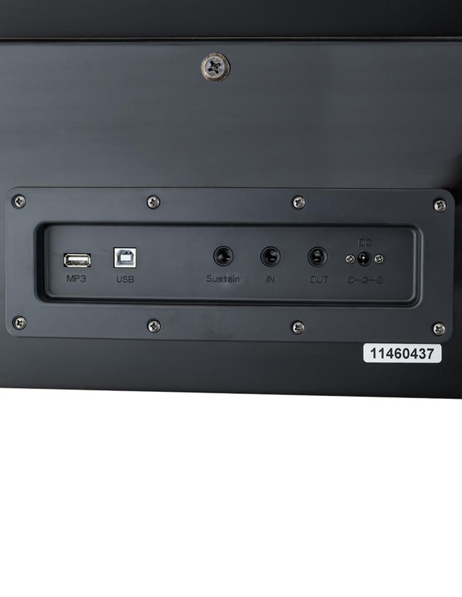 Piano B-93 88 teclas 11