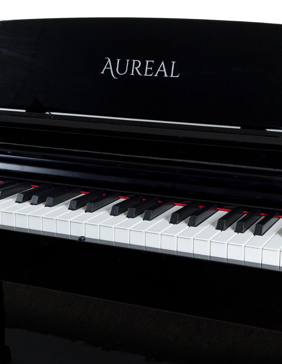 Piano B-93 88 teclas 5