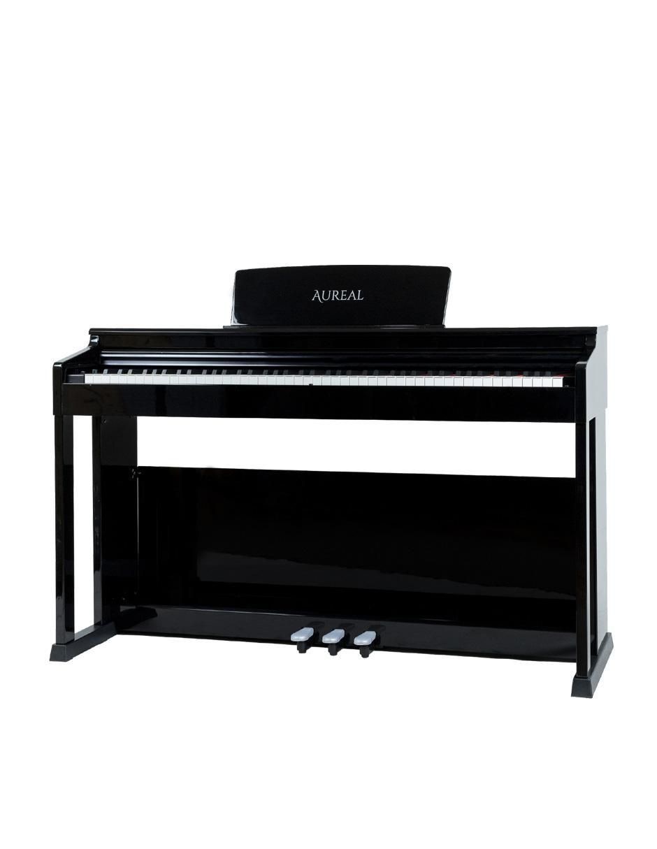 Piano B-93 88 teclas 7