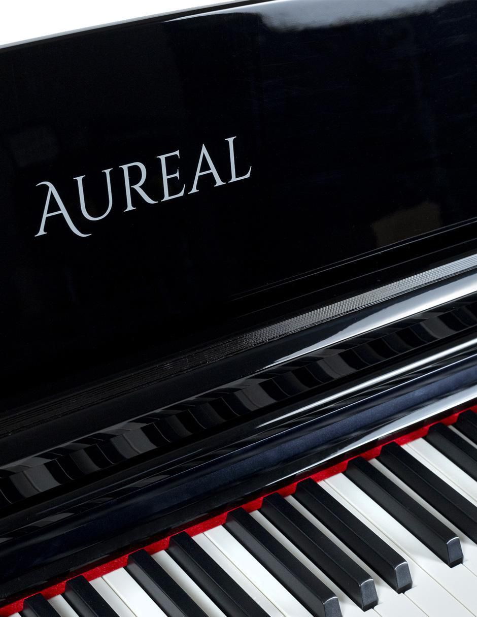 Piano B-93 88 teclas 9