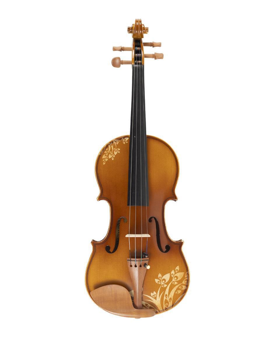 Violín acústico 1