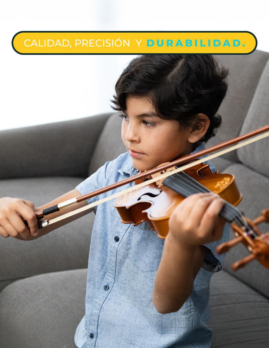 Violín acústico 13