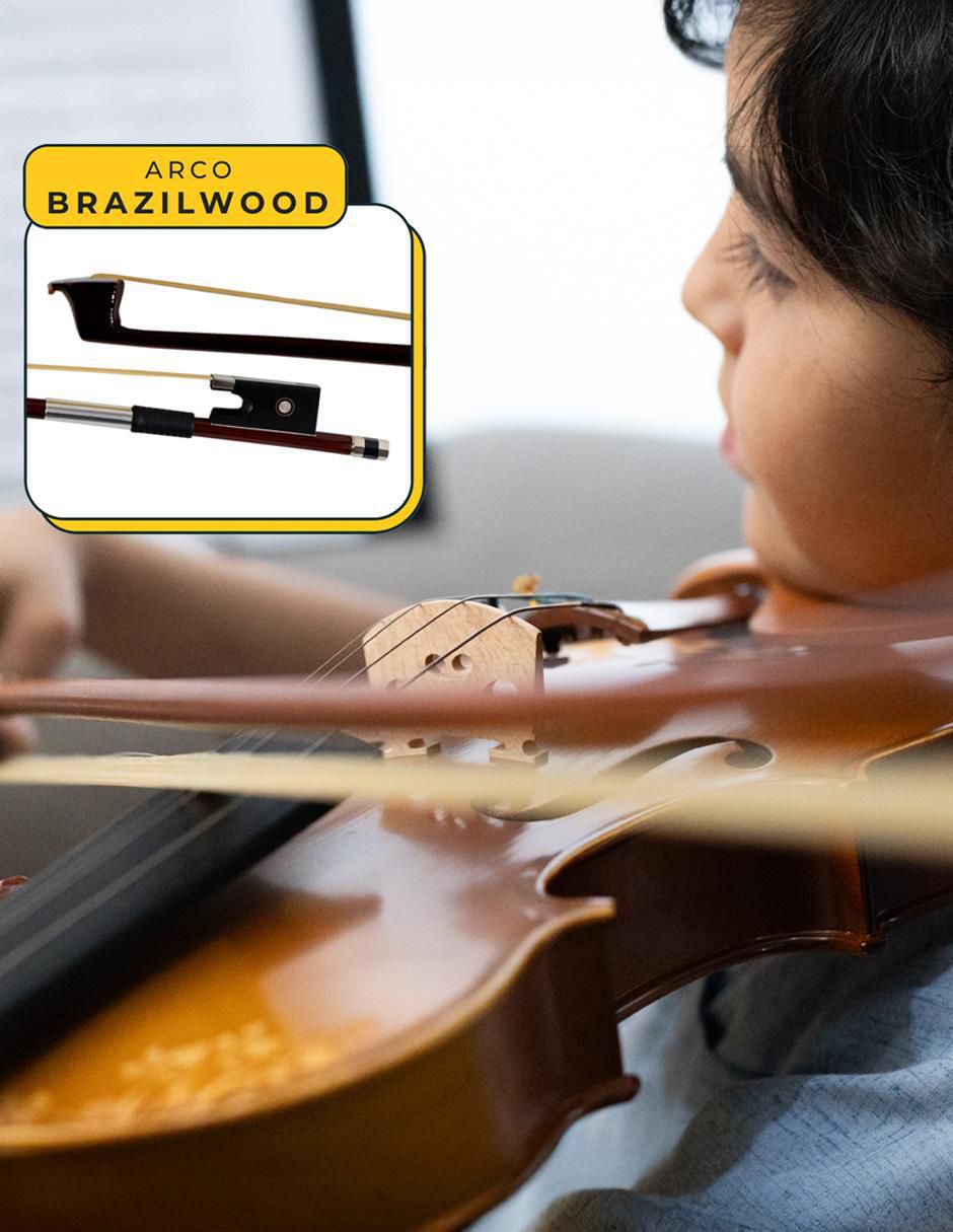 Violín acústico 14