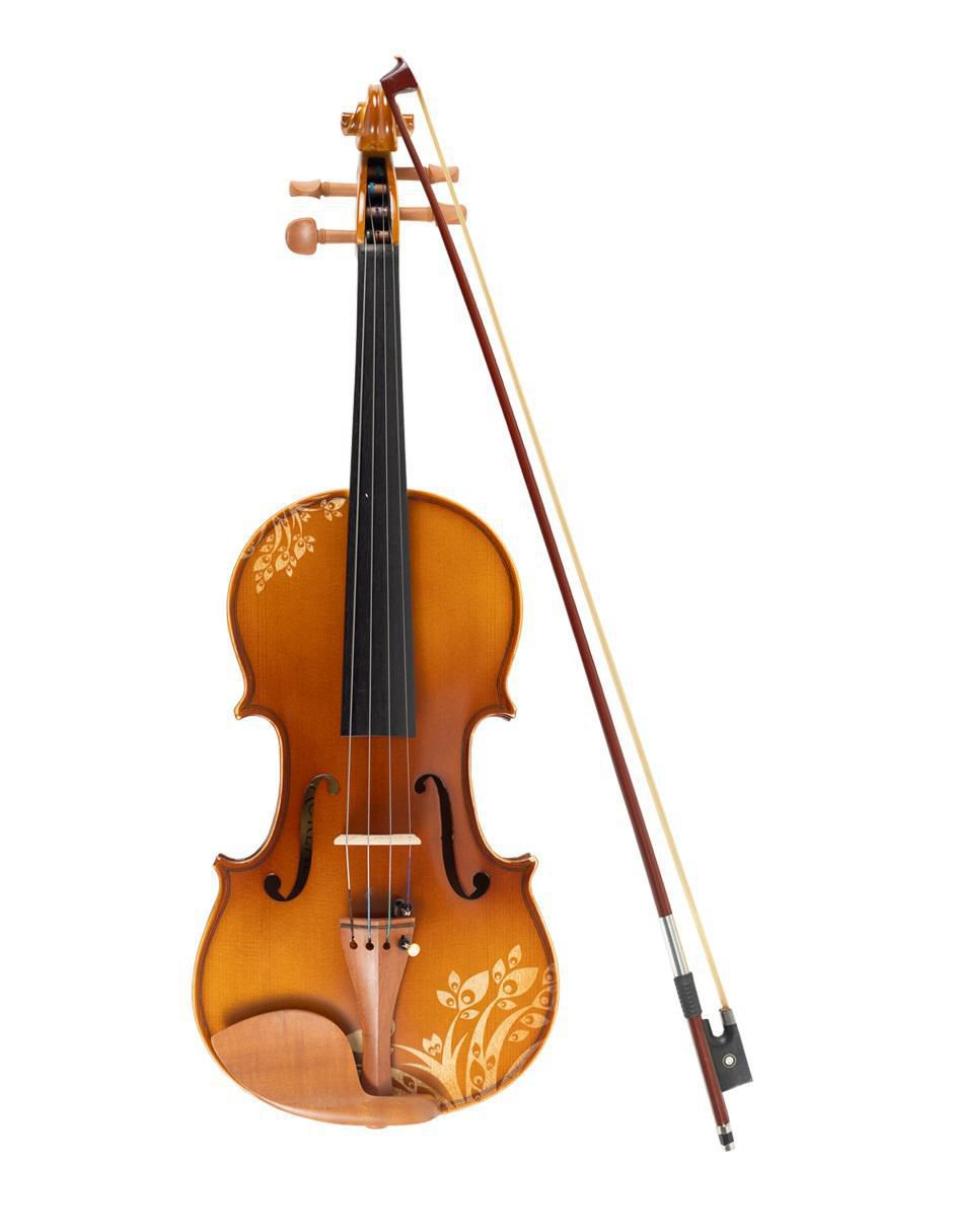 Violín acústico