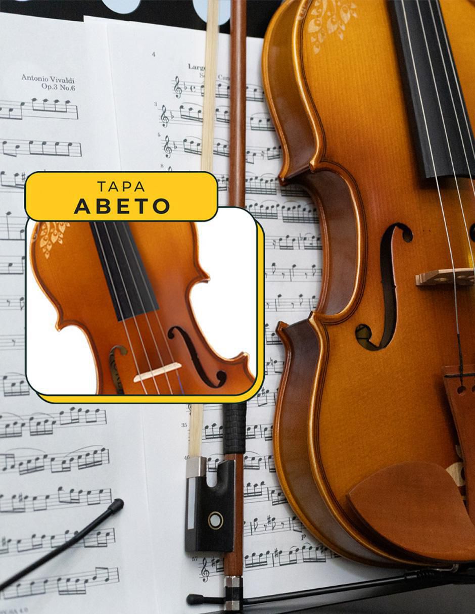 Violín acústico 10