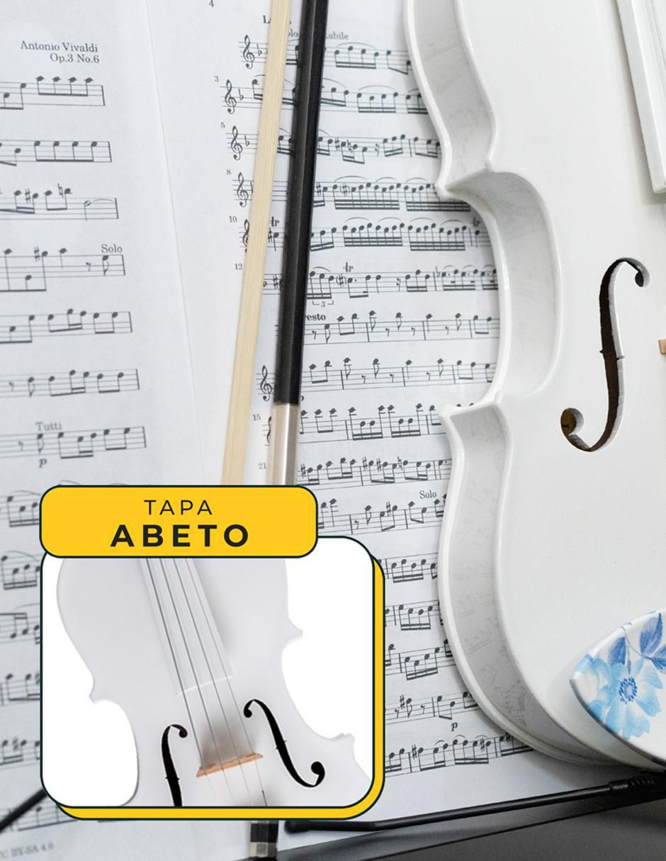 Violín acústico 8