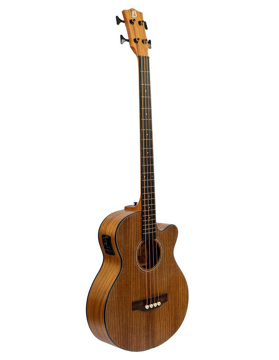 Bajo acústico 2
