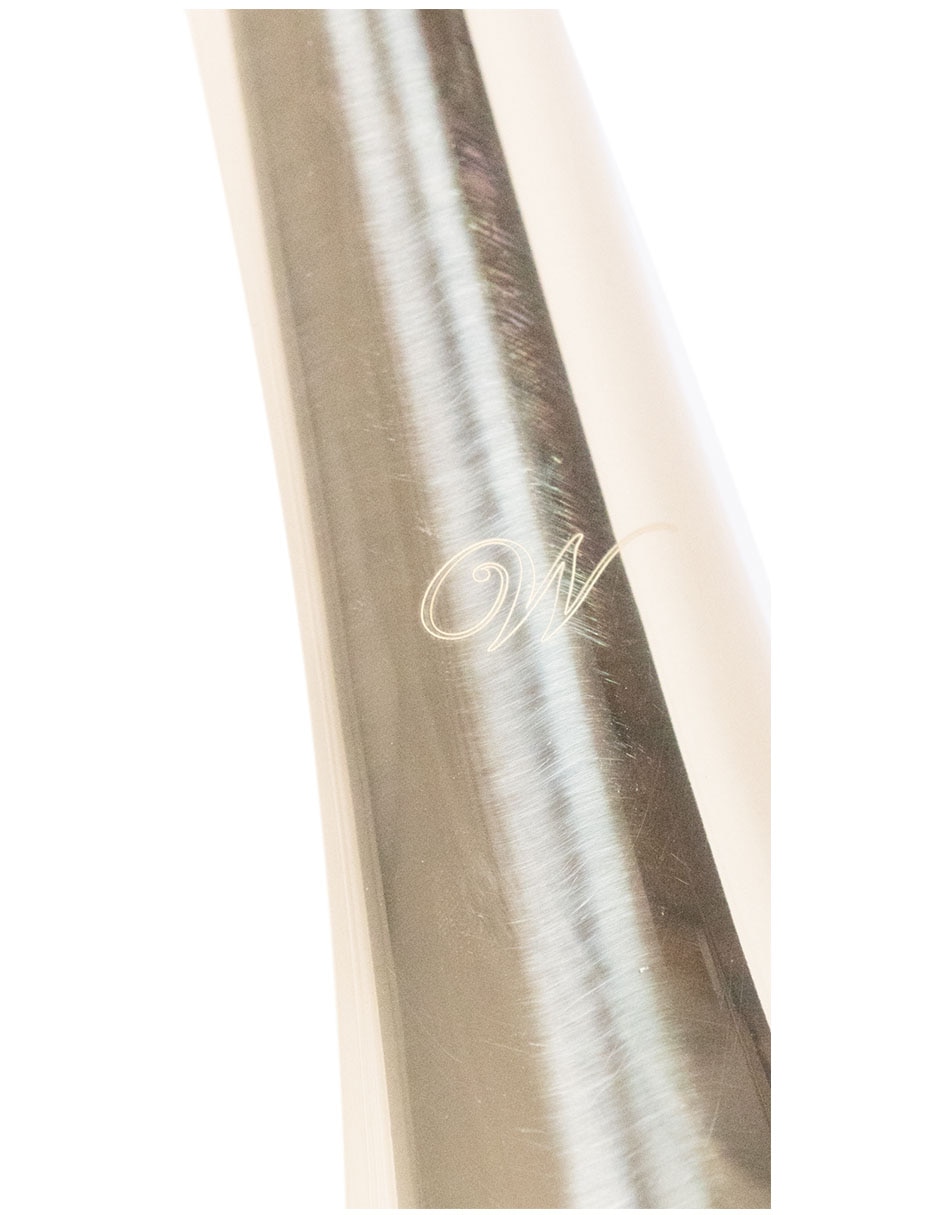 Trombón tenor de metal 2