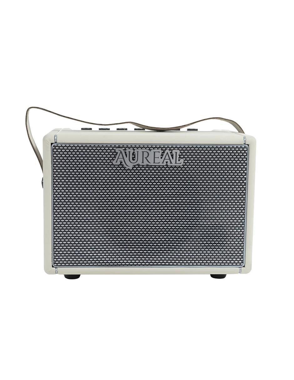 Amplificador de 110 V Amplificador de 110 V