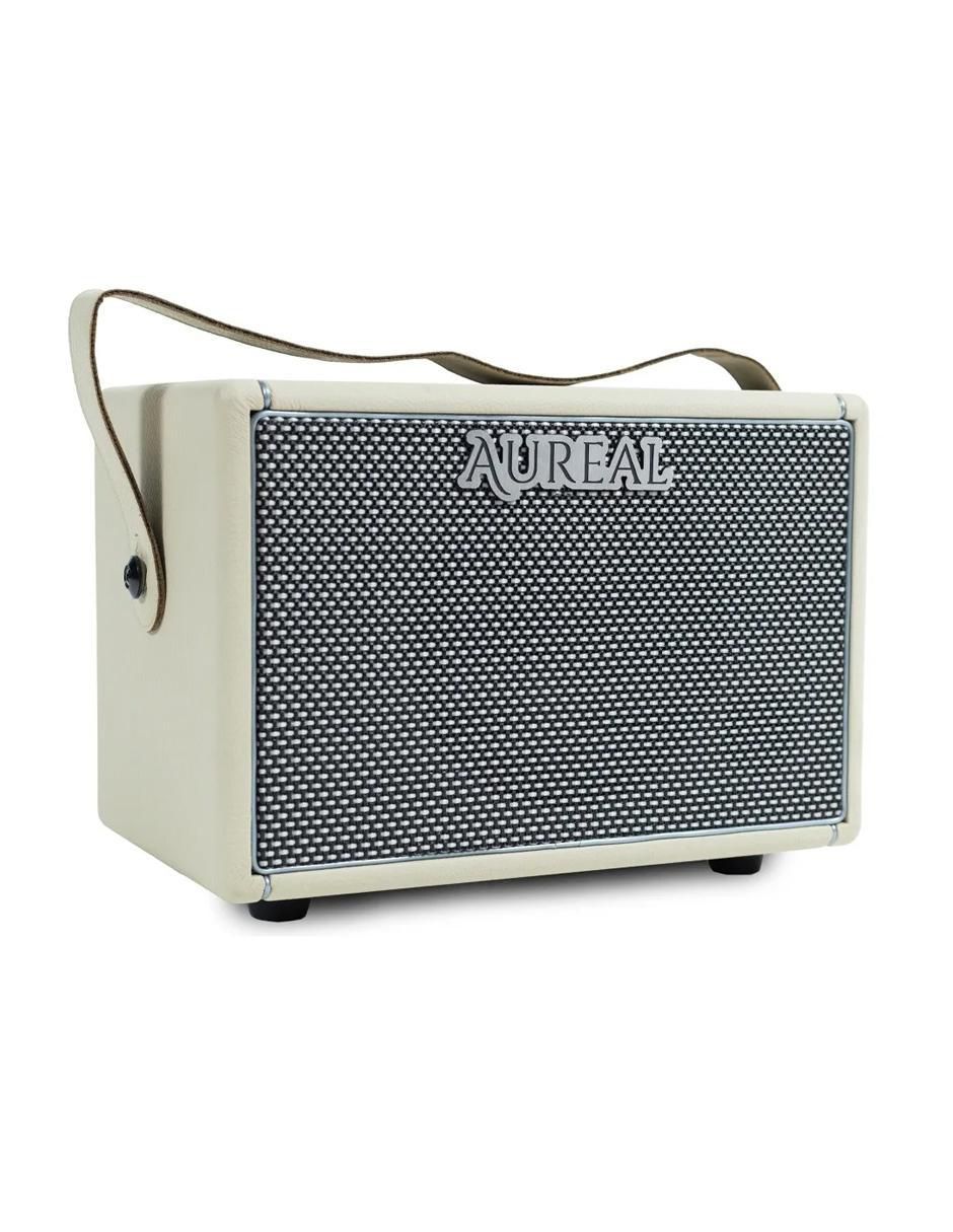 Amplificador de 110 V 2