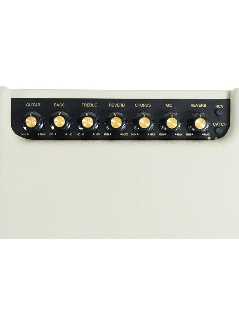 Amplificador de 110 V 4