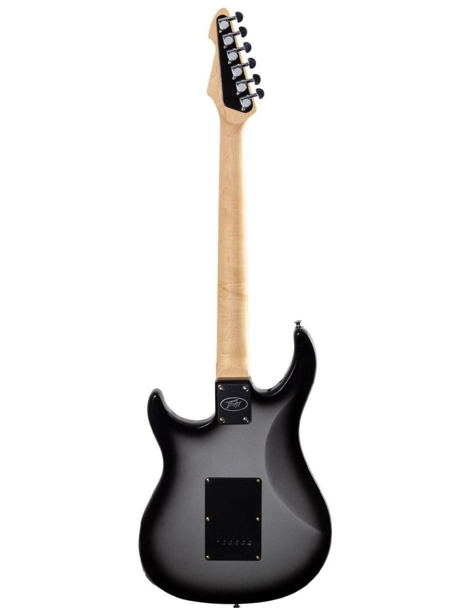 Guitarra eléctrica Raptor Custom Silverburst 2