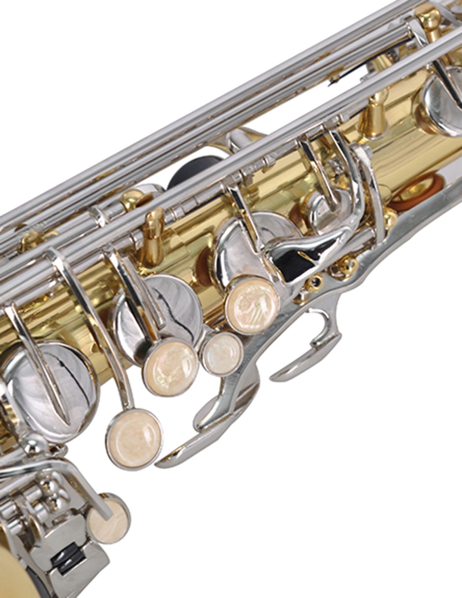 Saxofón alto 5