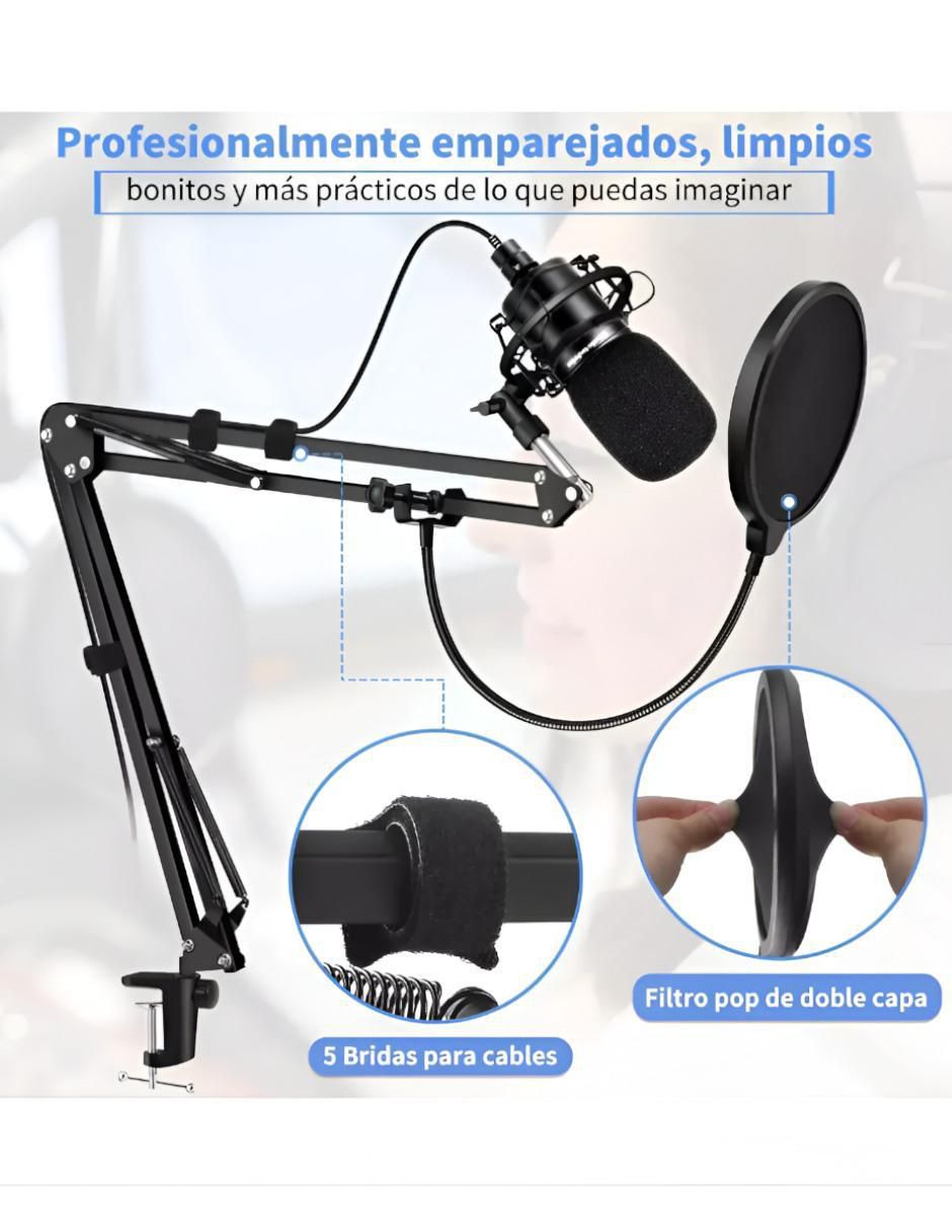 Soporte de brazo para micrófono 2