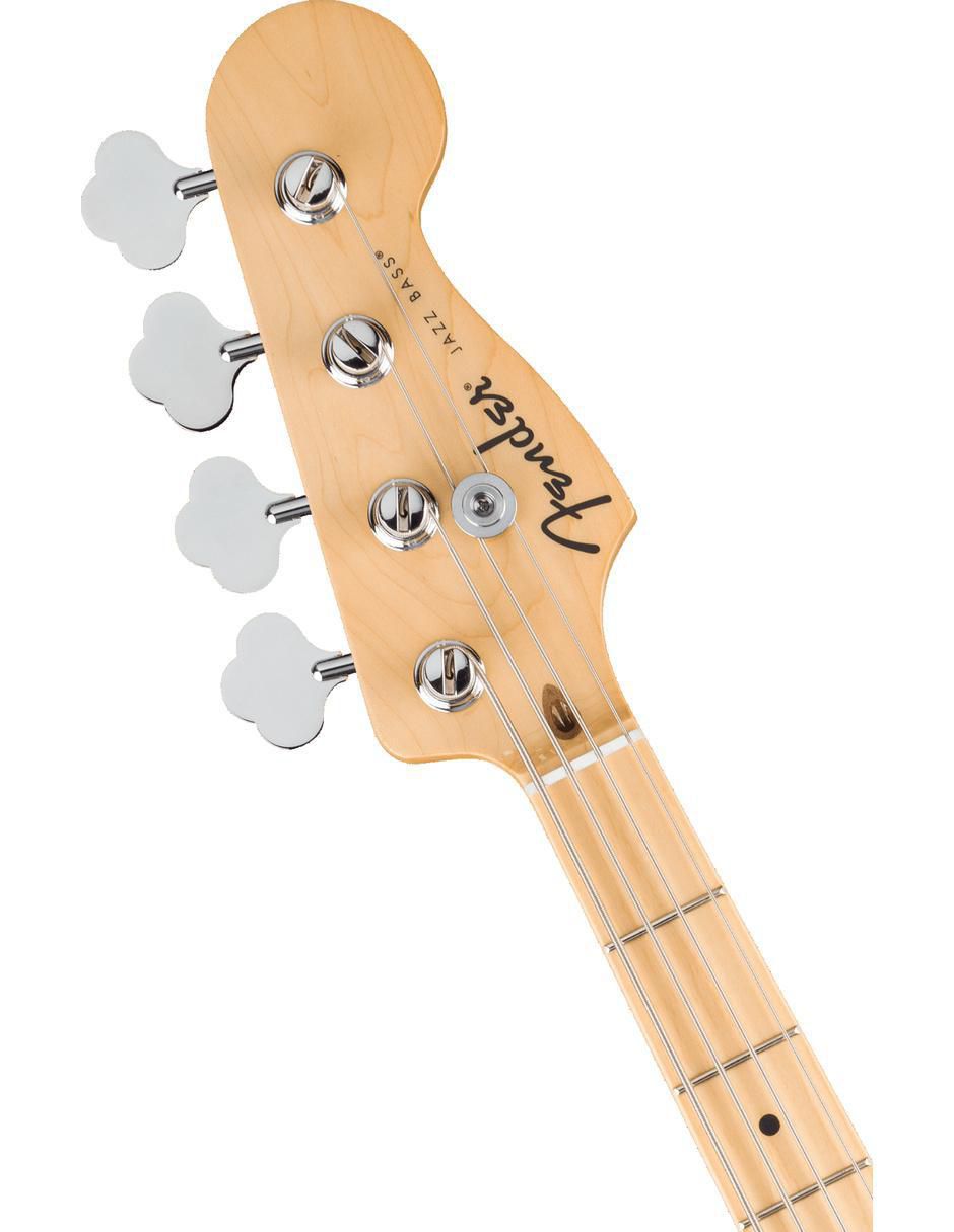 Bajo eléctrico 4